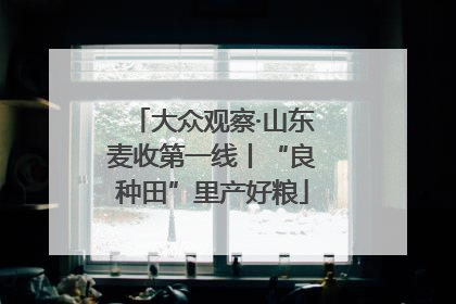 大众观察·山东麦收第一线丨“良种田”里产好粮