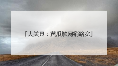 大关县：黄瓜触网销路宽