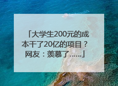 大学生200元的成本干了20亿的项目？网友：羡慕了……