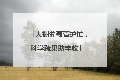 大棚葡萄管护忙，科学疏果助丰收