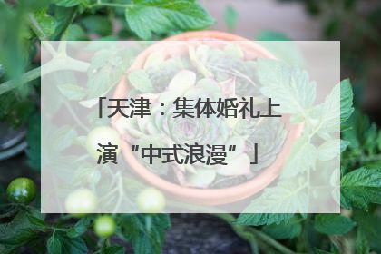 天津：集体婚礼上演“中式浪漫”