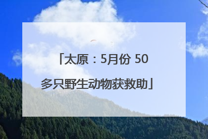 太原：5月份 50多只野生动物获救助
