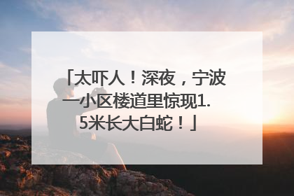太吓人！深夜，宁波一小区楼道里惊现1.5米长大白蛇！