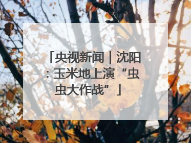 央视新闻｜沈阳：玉米地上演“虫虫大作战”
