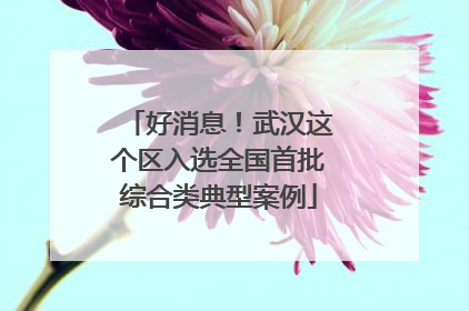好消息！武汉这个区入选全国首批综合类典型案例
