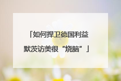 如何捍卫德国利益 默茨访美很“烧脑”