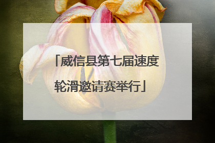 威信县第七届速度轮滑邀请赛举行