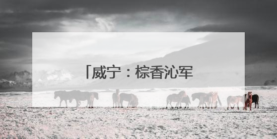 威宁：棕香沁军营 童心敬戎装