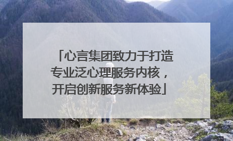 心言集团致力于打造专业泛心理服务内核，开启创新服务新体验