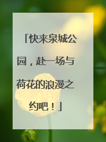 快来泉城公园，赴一场与荷花的浪漫之约吧！