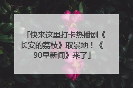快来这里打卡热播剧《长安的荔枝》取景地！《90早新闻》来了