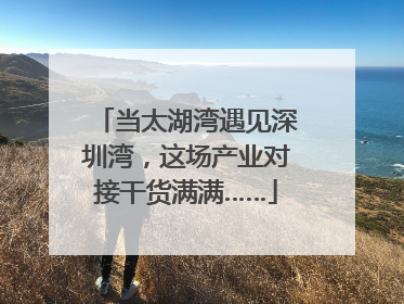 当太湖湾遇见深圳湾，这场产业对接干货满满……