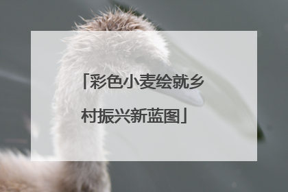 彩色小麦绘就乡村振兴新蓝图