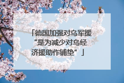 德国加强对乌军援 “是为减少对乌经济援助作铺垫”