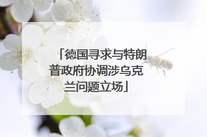 德国寻求与特朗普政府协调涉乌克兰问题立场