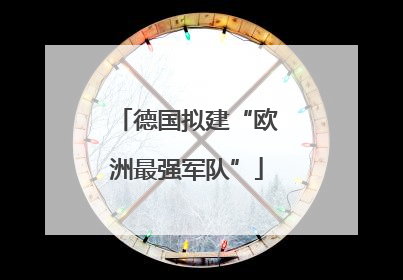 德国拟建“欧洲最强军队”