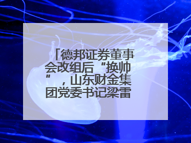 德邦证券董事会改组后“换帅”，山东财金集团党委书记梁雷出任董事长