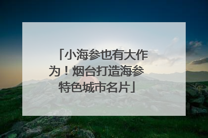 小海参也有大作为！烟台打造海参特色城市名片