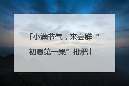 小满节气，来尝鲜“初夏第一果”枇杷