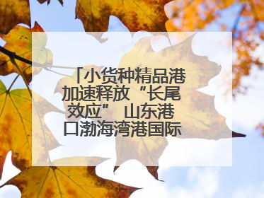 小货种精品港加速释放“长尾效应” 山东港口渤海湾港国际件杂货运业务