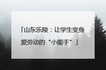 山东乐陵：让学生变身爱劳动的“小能手”