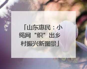 山东惠民：小绳网“织”出乡村振兴新图景