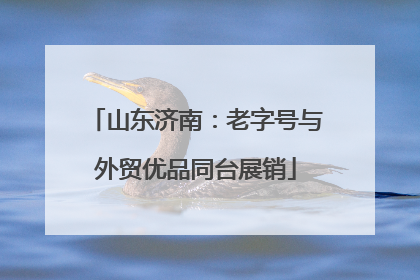 山东济南：老字号与外贸优品同台展销