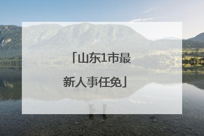 山东1市最新人事任免
