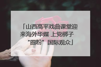山西高平戏曲课堂迎来海外华媒 上党梆子“圈粉”国际观众
