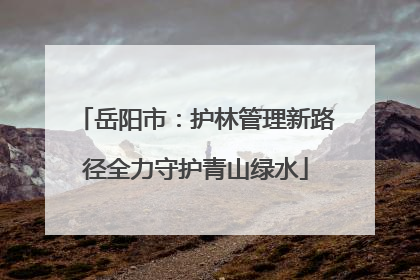 岳阳市：护林管理新路径全力守护青山绿水