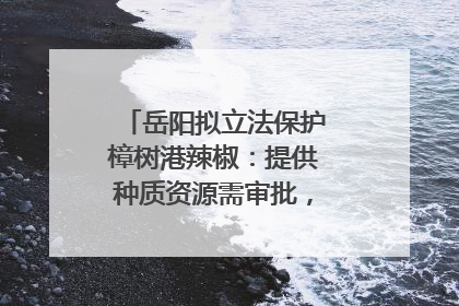 岳阳拟立法保护樟树港辣椒：提供种质资源需审批，违规最高罚5万