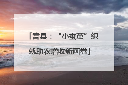 嵩县：“小蚕茧”织就助农增收新画卷
