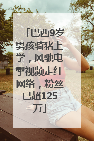 巴西9岁男孩骑猪上学，风驰电掣视频走红网络，粉丝已超125万