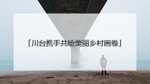 川台携手共绘美丽乡村画卷
