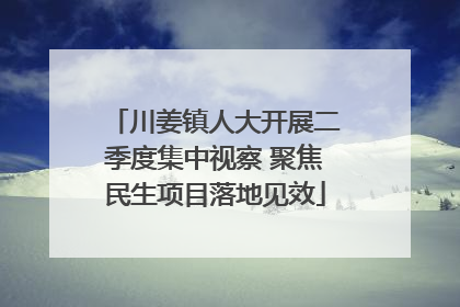 川姜镇人大开展二季度集中视察 聚焦民生项目落地见效