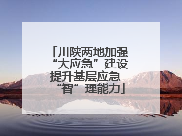 川陕两地加强“大应急”建设 提升基层应急“智”理能力