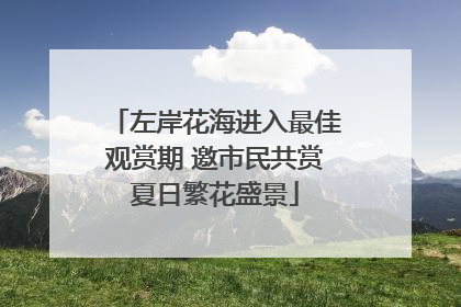 左岸花海进入最佳观赏期 邀市民共赏夏日繁花盛景