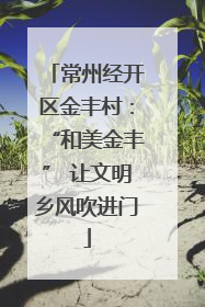 常州经开区金丰村：“和美金丰” 让文明乡风吹进门