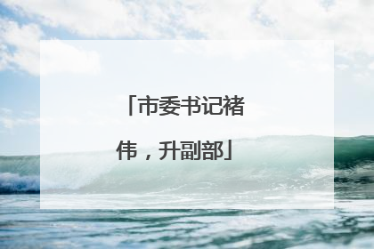 市委书记褚伟，升副部