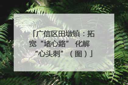 广信区田墩镇：拓宽“堵心路” 化解“心头刺”（图）