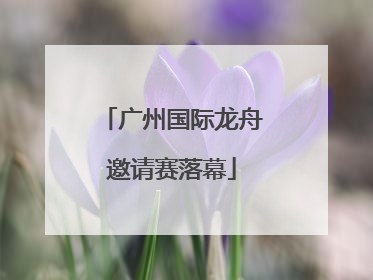 广州国际龙舟邀请赛落幕