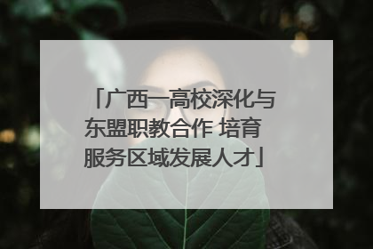 广西一高校深化与东盟职教合作 培育服务区域发展人才