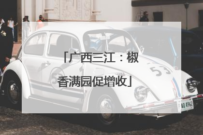 广西三江：椒香满园促增收