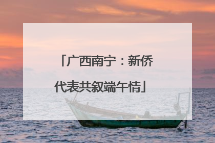 广西南宁：新侨代表共叙端午情