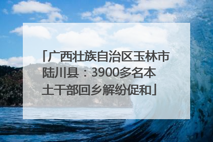 广西壮族自治区玉林市陆川县：3900多名本土干部回乡解纷促和