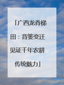 广西龙脊梯田：背篓变迁见证千年农耕传统魅力