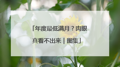 年度最低满月？肉眼真看不出来｜图集
