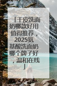 干皮洗面奶哪款好用值得推荐，2025氨基酸洗面奶哪个牌子好，温和在线