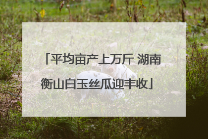 平均亩产上万斤 湖南衡山白玉丝瓜迎丰收