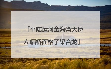 平陆运河金海湾大桥左幅桥面格子梁合龙